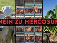 Nein zu Mercosur - Titel © Archiv