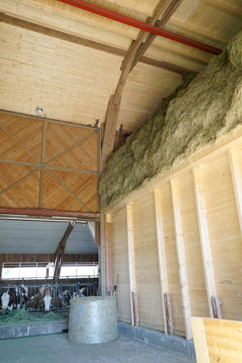 Jungübernehmer setzt auf Grundfutterqualität.jpg © Kirchtag Jungübernehmer setzt auf Grundfutterqualität.jpg © Kirchtag