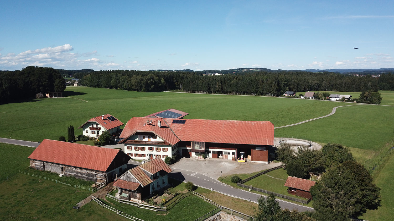 Jungübernehmer setzt auf Grundfutterqualität.jpg © Kirchtag