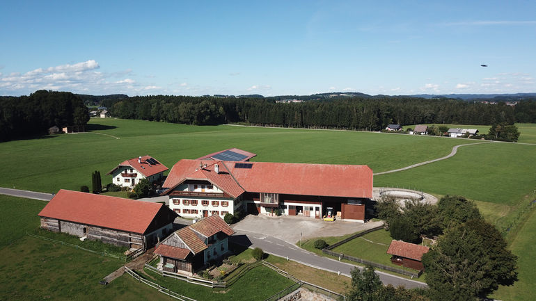 Jungübernehmer setzt auf Grundfutterqualität.jpg © Kirchtag