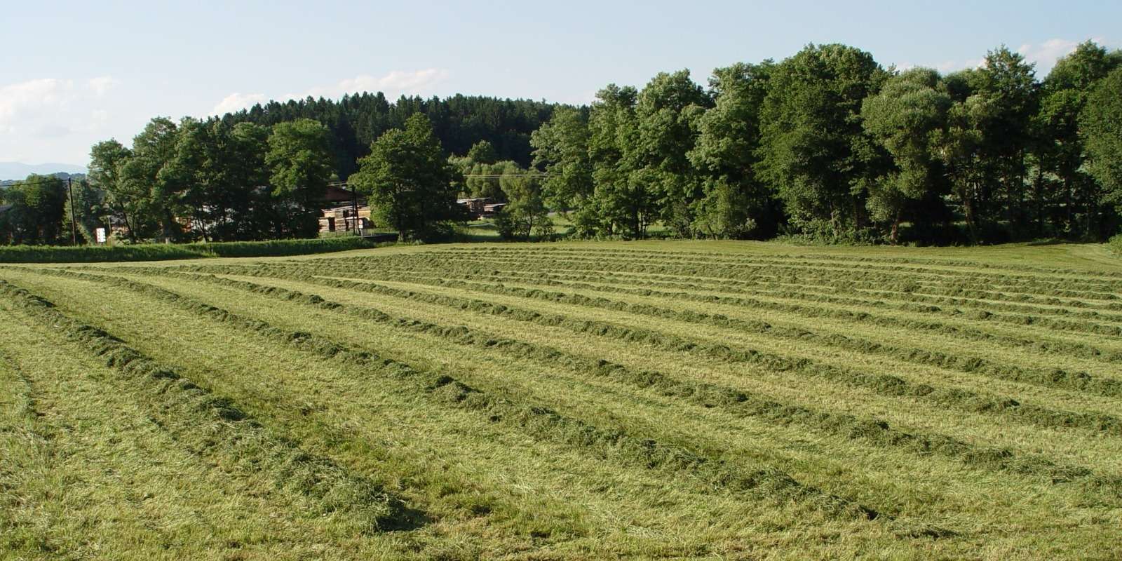 Wiese mähen © LK Stmk