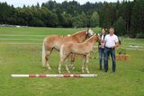 © Frießnegger © Frießnegger