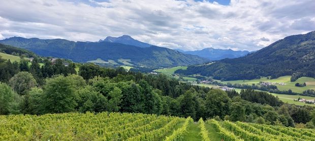 [1757403615616236_7.jpg]