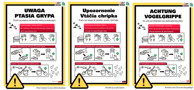 Vogelgrippe Merkblätter.png © LKÖ/QGV