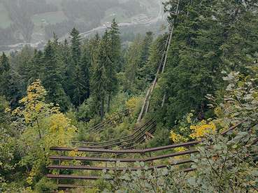 Forst .jpg © LK Vbg.