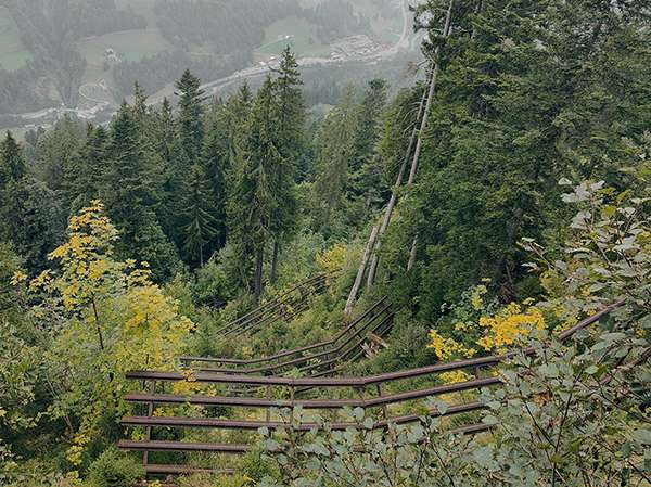 Forst .jpg © LK Vbg.