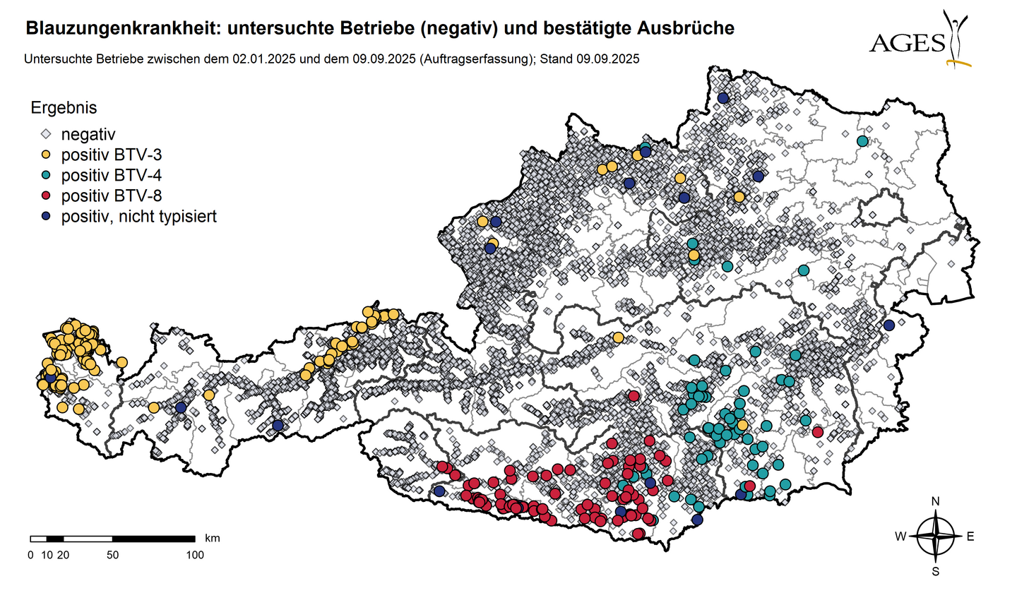 Verbreitung Blauzungenkrankheit (Stand 9.9.2025) © AGES