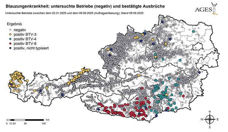 Verbreitung Blauzungenkrankheit (Stand 9.9.2025) © AGES