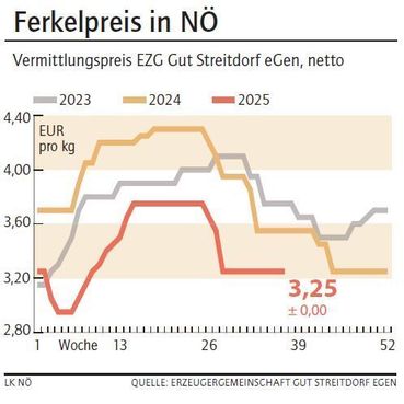 Grafik Ferkelpreis 37_2025.jpg © LK NÖ Grafik Ferkelpreis 37_2025.jpg © LK NÖ