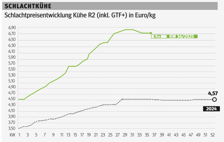 Schlachtkuhgrafik KW 36.png © Grafik RZV