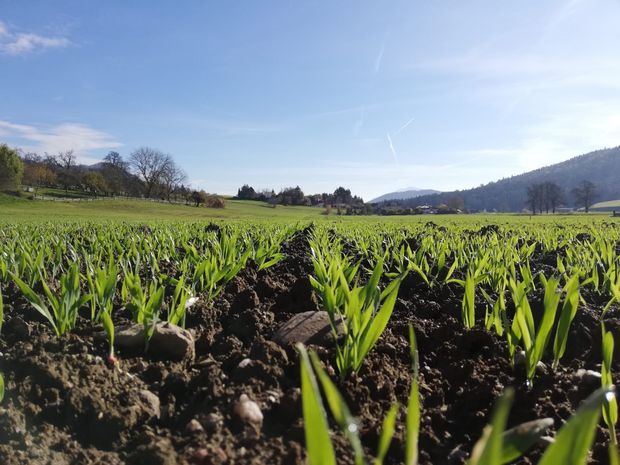 [1757493652883699_7.jpg]