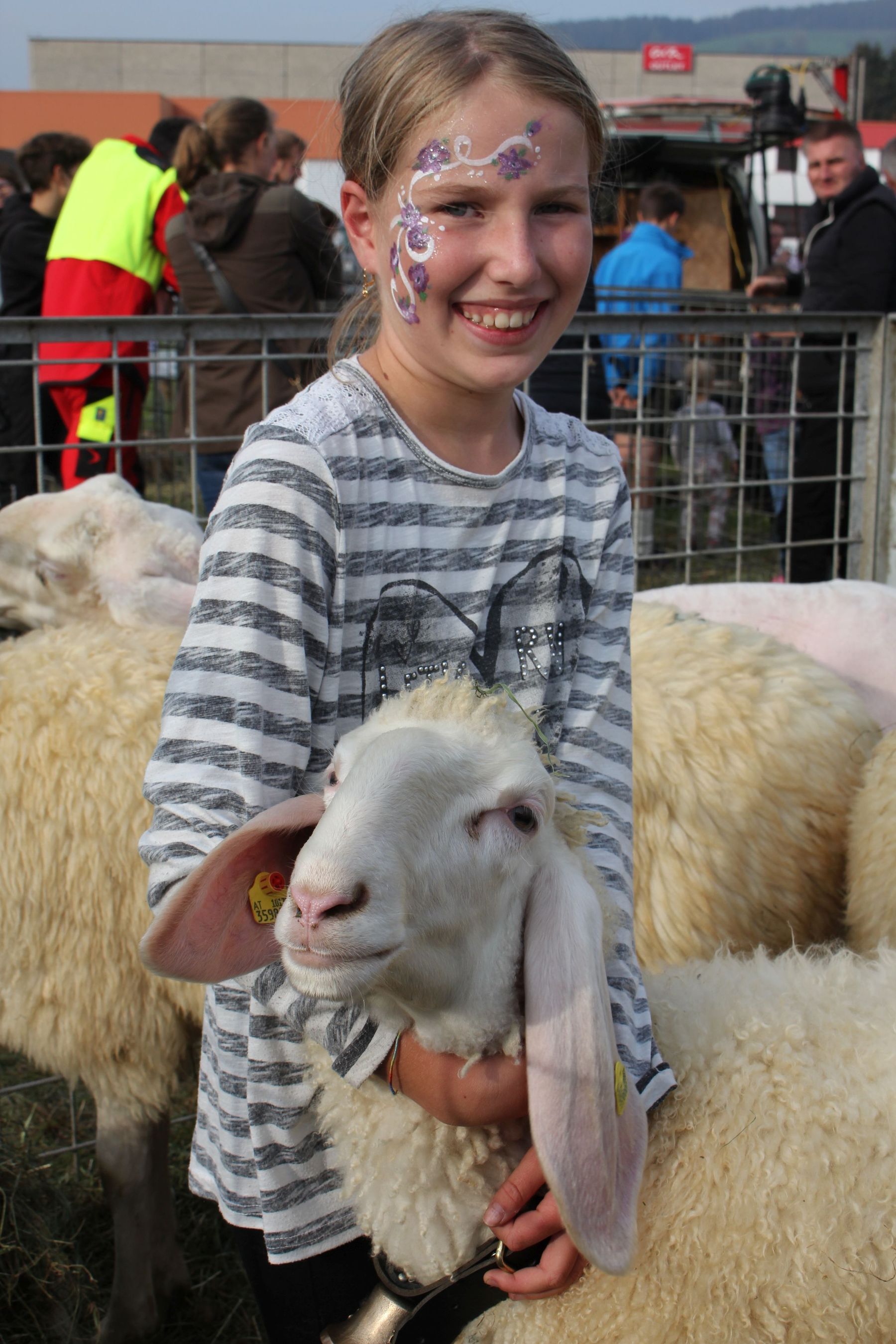 Schaf_Schazie.jpg © SZZV Kärnten, Liebchen, Schafe und Ziegen aktuell