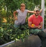 Bei Igor und Julia Michlmayr-Gomenyuk wachsen exotische Früchte. © H. Michlmayr