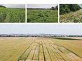 Bionet_Broschüre_Herbstanbau 2025 © LK Niederösterreich