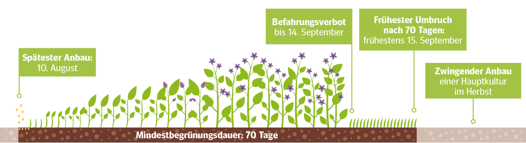 Grafik_Mindestbegrünungsdauer.png © LK Niederösterreich