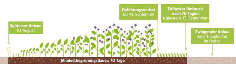 Grafik_Mindestbegrünungsdauer.png © LK Niederösterreich