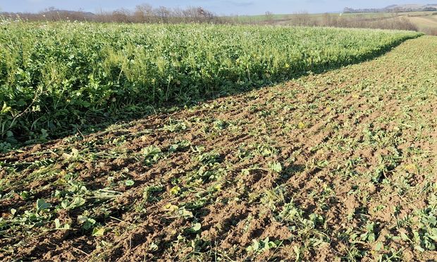 [1757661789466149_7.jpg]