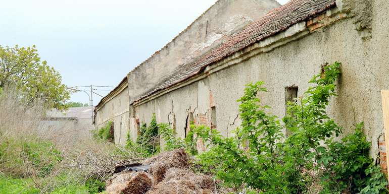 Altes_Mauerwerk_2-ID18239.jpg © agrarfoto.com