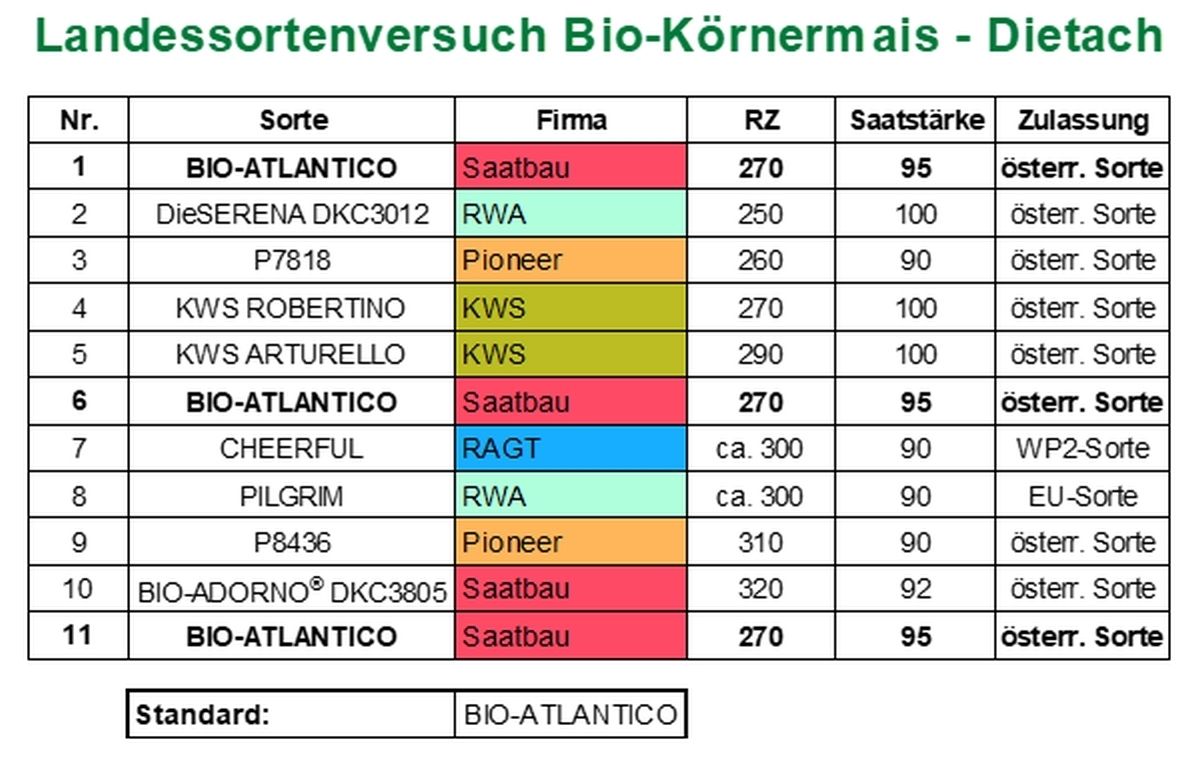 Landessortenversuch Bio-Körnermais - Dietach.jpg © BWSB/Lang