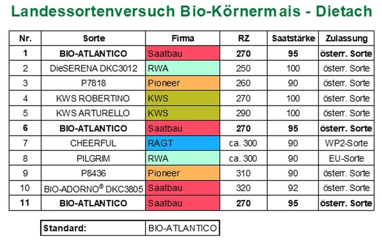 Landessortenversuch Bio-Körnermais - Dietach.jpg © BWSB/Lang