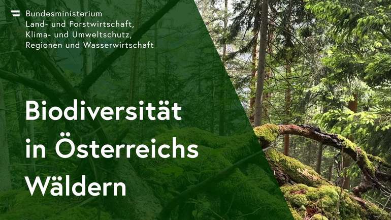 Titelbild-Film Biodiversität in Österreichs Wäldern.jpg © BIOSA-Biosphäre Austria