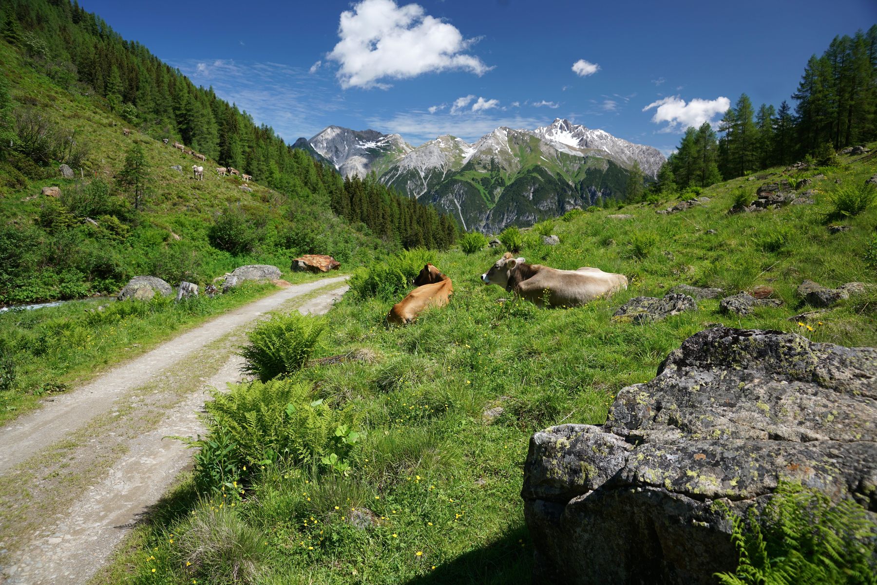 Tirol Malfonalm 4 (C) Ludwig Berchtold.jpg © Ludwig Berchtold