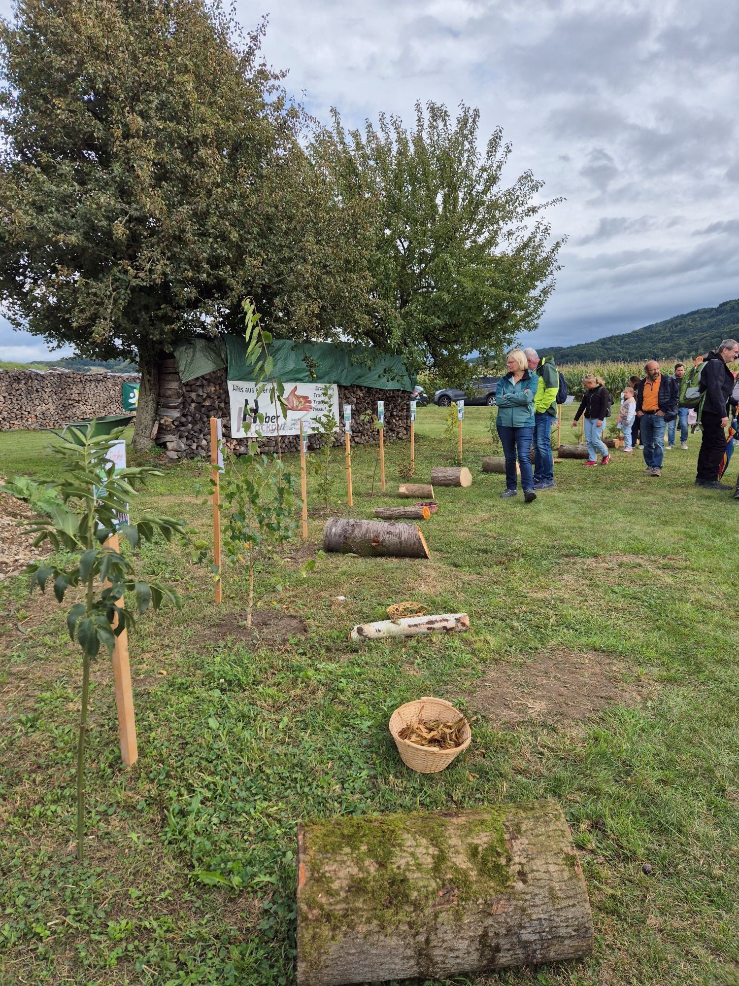 20250914_142313.jpg © BBK Melk 20250914_142313.jpg © BBK Melk