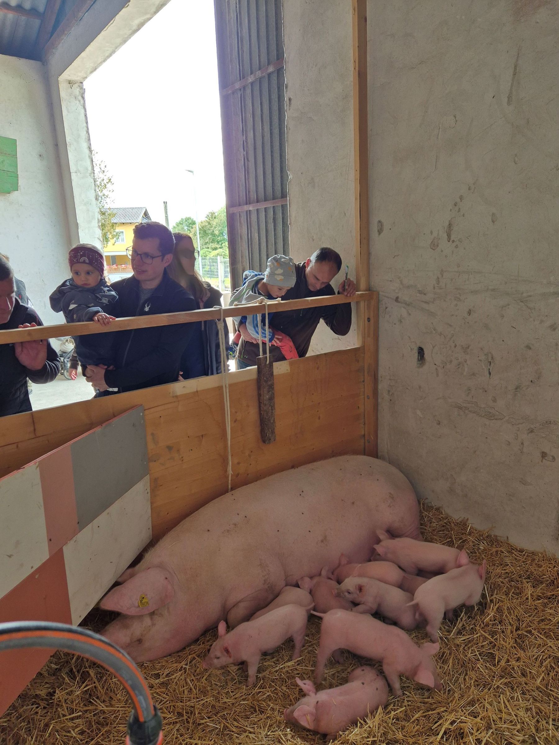 20250914_143348.jpg © BBK Melk 20250914_143348.jpg © BBK Melk