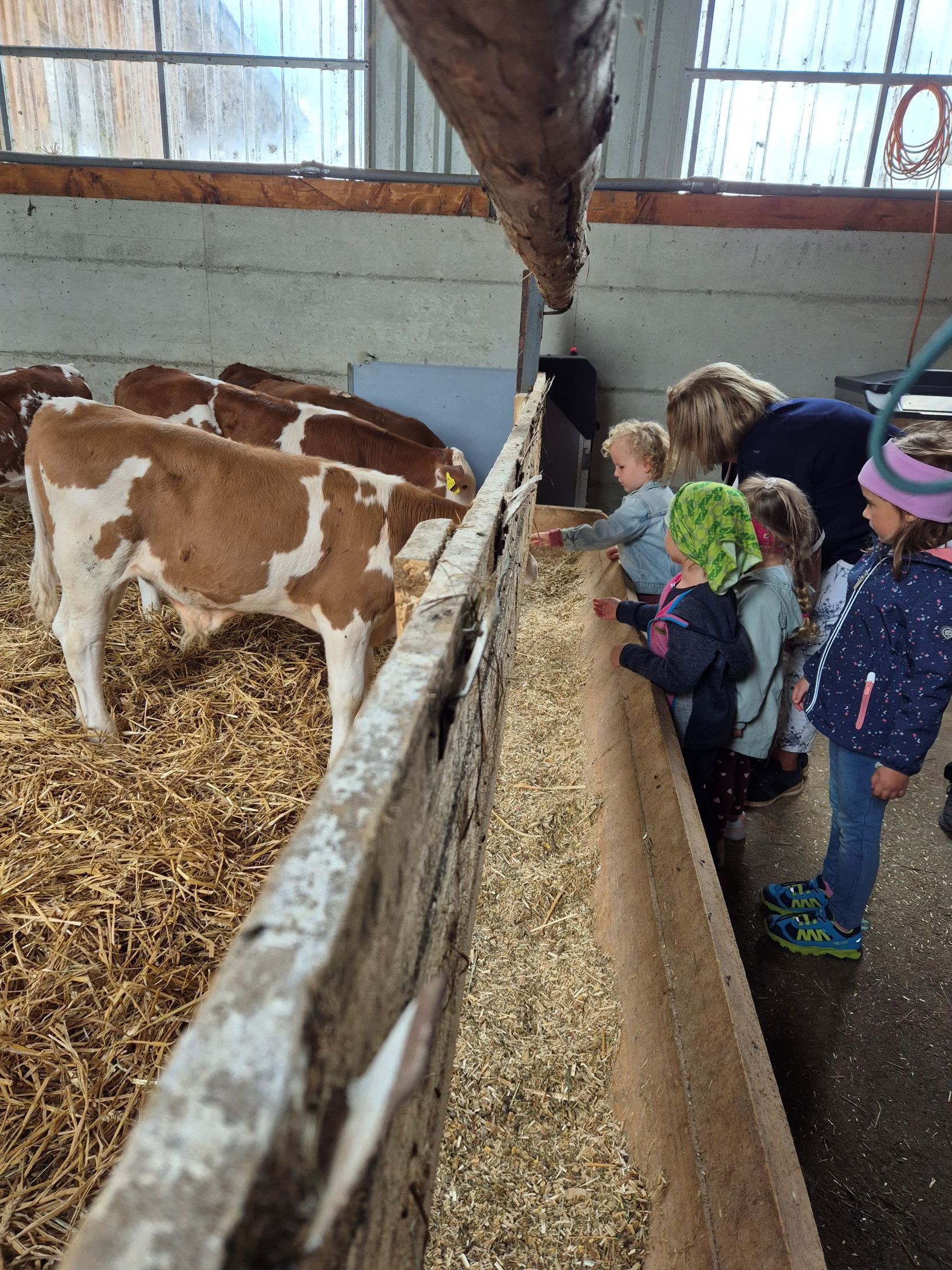 20250914_152521.jpg © BBK Melk 20250914_152521.jpg © BBK Melk