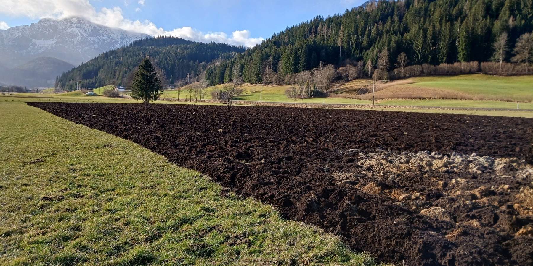 Grünlandumbruch.jpg © LK OÖ/Mandl Grünlandumbruch.jpg © LK OÖ/Mandl