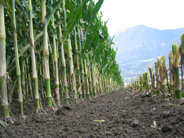 [1758006469885936_7.png]