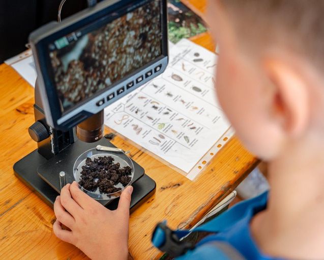 © ÖSF/Pöhlmann © ÖSF/Pöhlmann