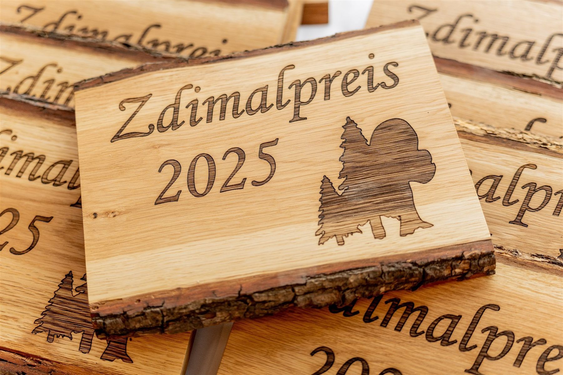 Zdimal-Preis 2025.jpg © Georg Pomaßl/LK Niederösterreich