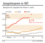 Grafik Jungstierpreis 38/2025.png © LK NÖ