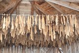 _DSC0904.jpg © Strobl