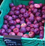 sb38_mt_apfel.jpg © Dürnberger