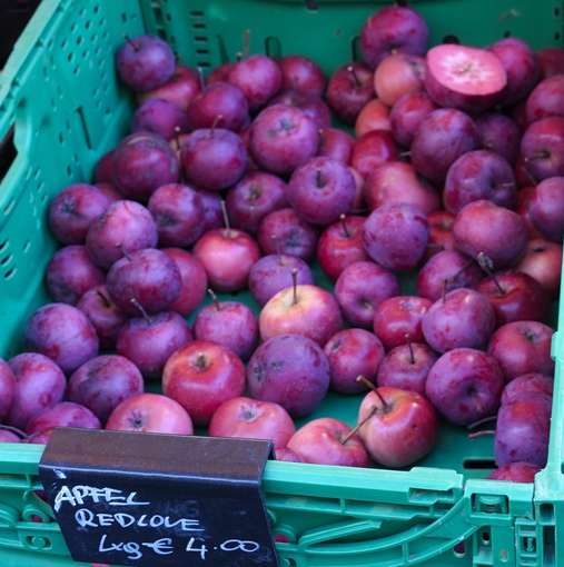 sb38_mt_apfel.jpg © Dürnberger