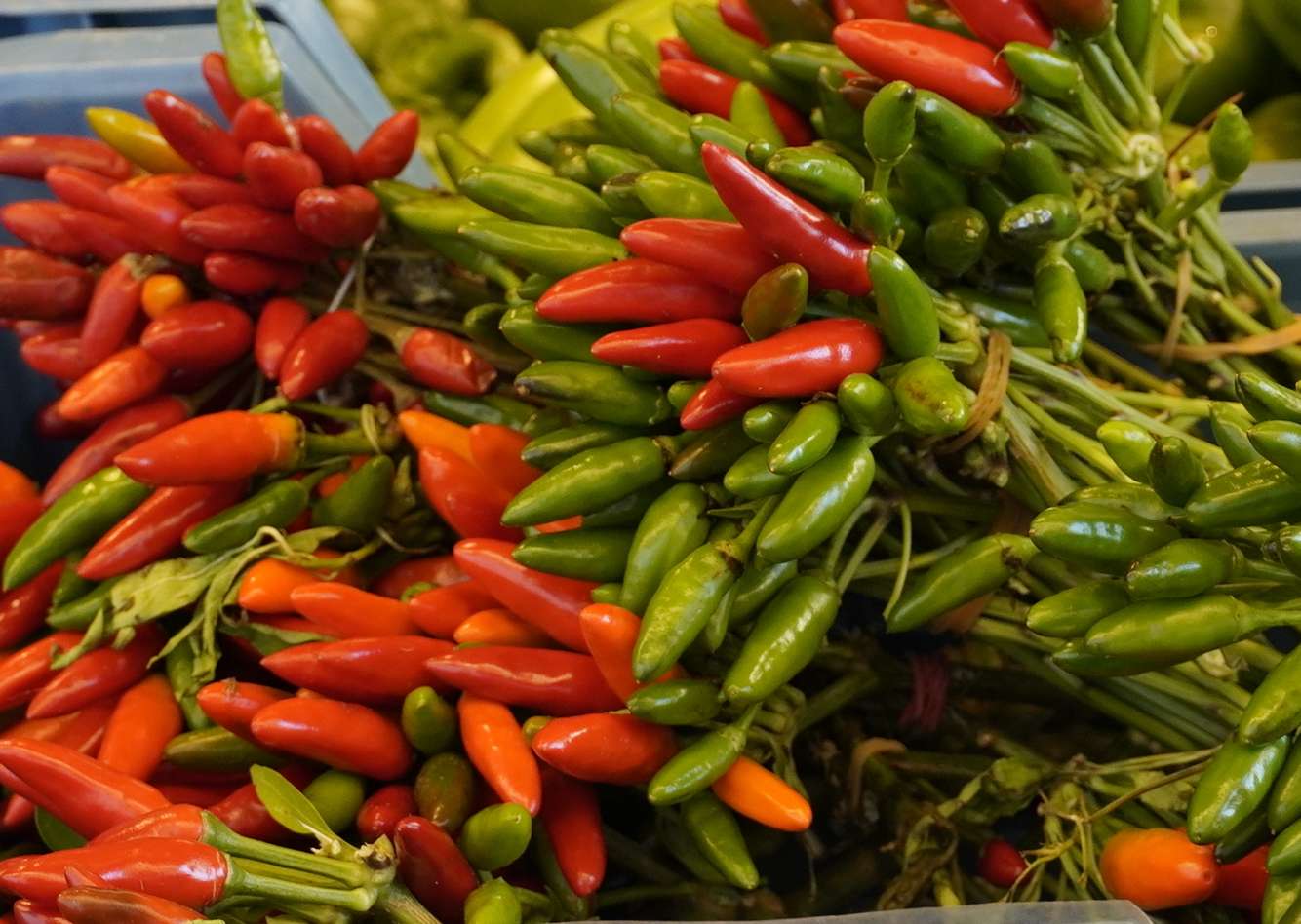 sb38_mt_chili.jpg © Dürnberger