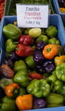 sb38_mt_paprika.jpg © Dürnberger