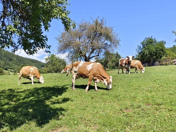 [1758093168479672_1.jpg]