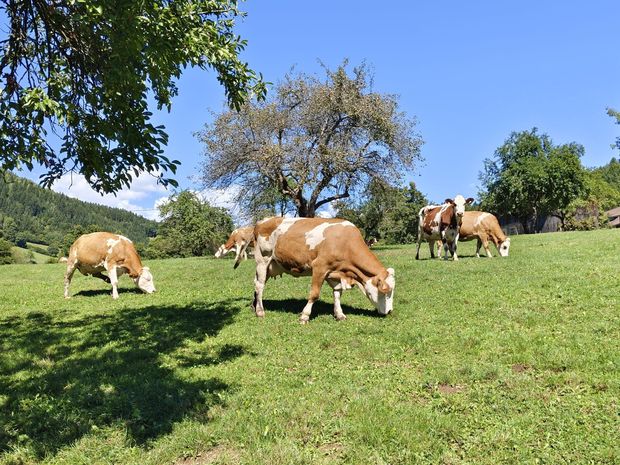 [1758093168479672_7.jpg]