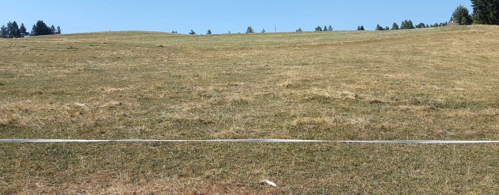 Trockenweide (c) Schuster.jpg © Nadja Schuster/LK Kärnten Trockenweide (c) Schuster.jpg © Nadja Schuster/LK Kärnten