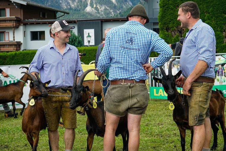 Den Pinzgauer Ziegen gehört der Schauring.jpg © Etter