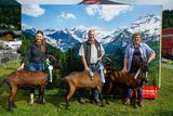 Den Pinzgauer Ziegen gehört der Schauring.jpg © Etter