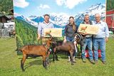 Den Pinzgauer Ziegen gehört der Schauring.jpg © Etter