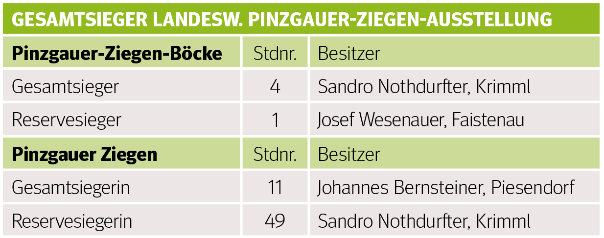 Den Pinzgauer Ziegen gehört der Schauring.png © Archiv