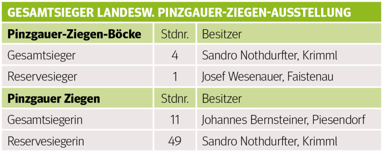Den Pinzgauer Ziegen gehört der Schauring.png © Archiv