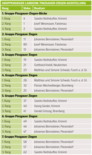 Den Pinzgauer Ziegen gehört der Schauring.png © Archiv
