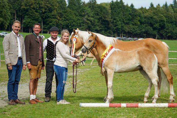 [1758105740816129_7.jpg]