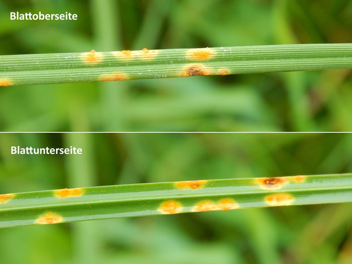 [1758108837147288_1.jpg]